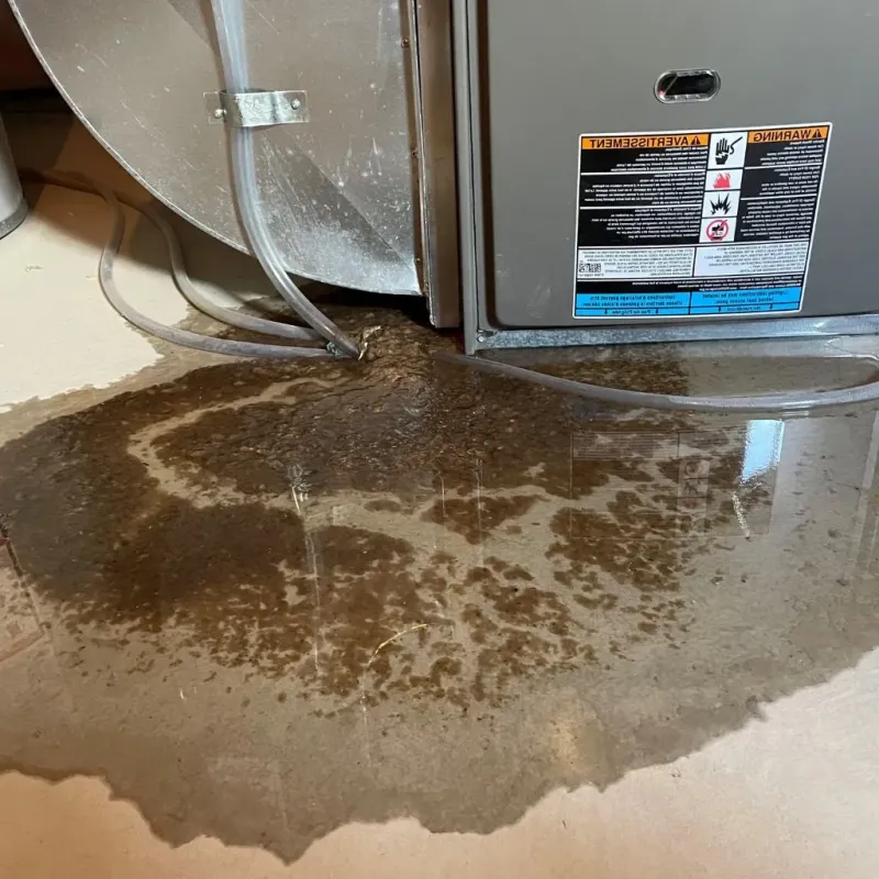 Pipe Burst and Leak Restoration in Hidalgo County, NM